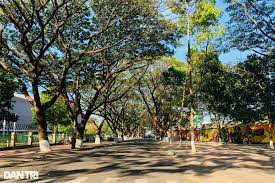 4.6. DO THI THONG MINH